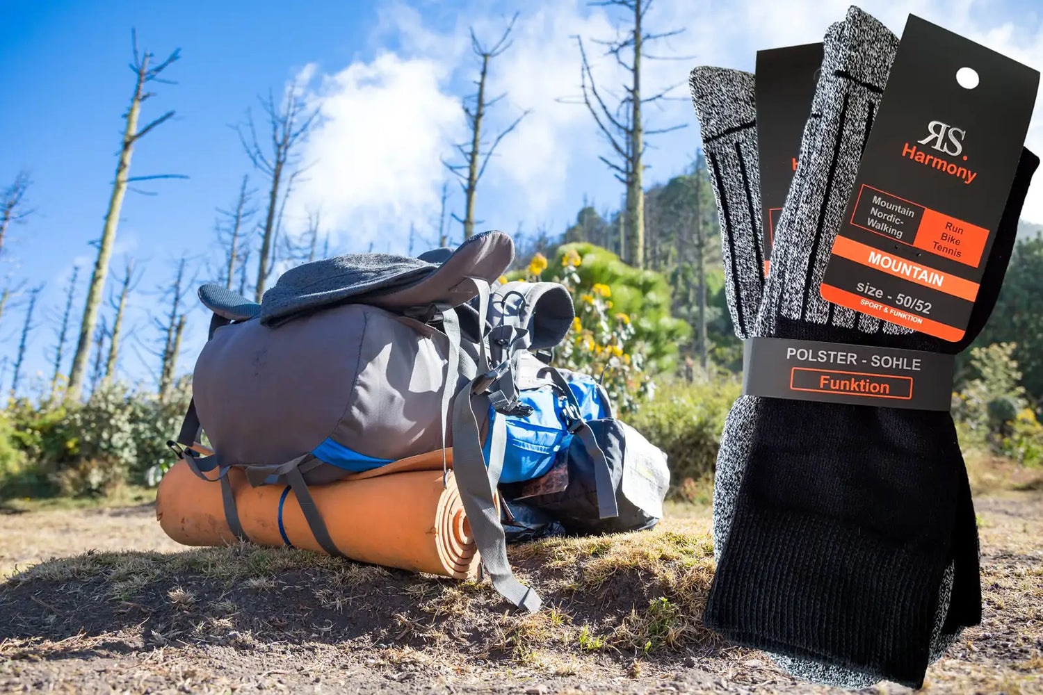 Chaussettes grandes tailles homme hotsell