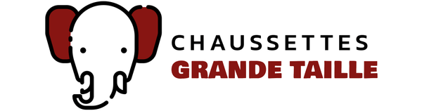 Logo chaussettes-grande-taille.fr
